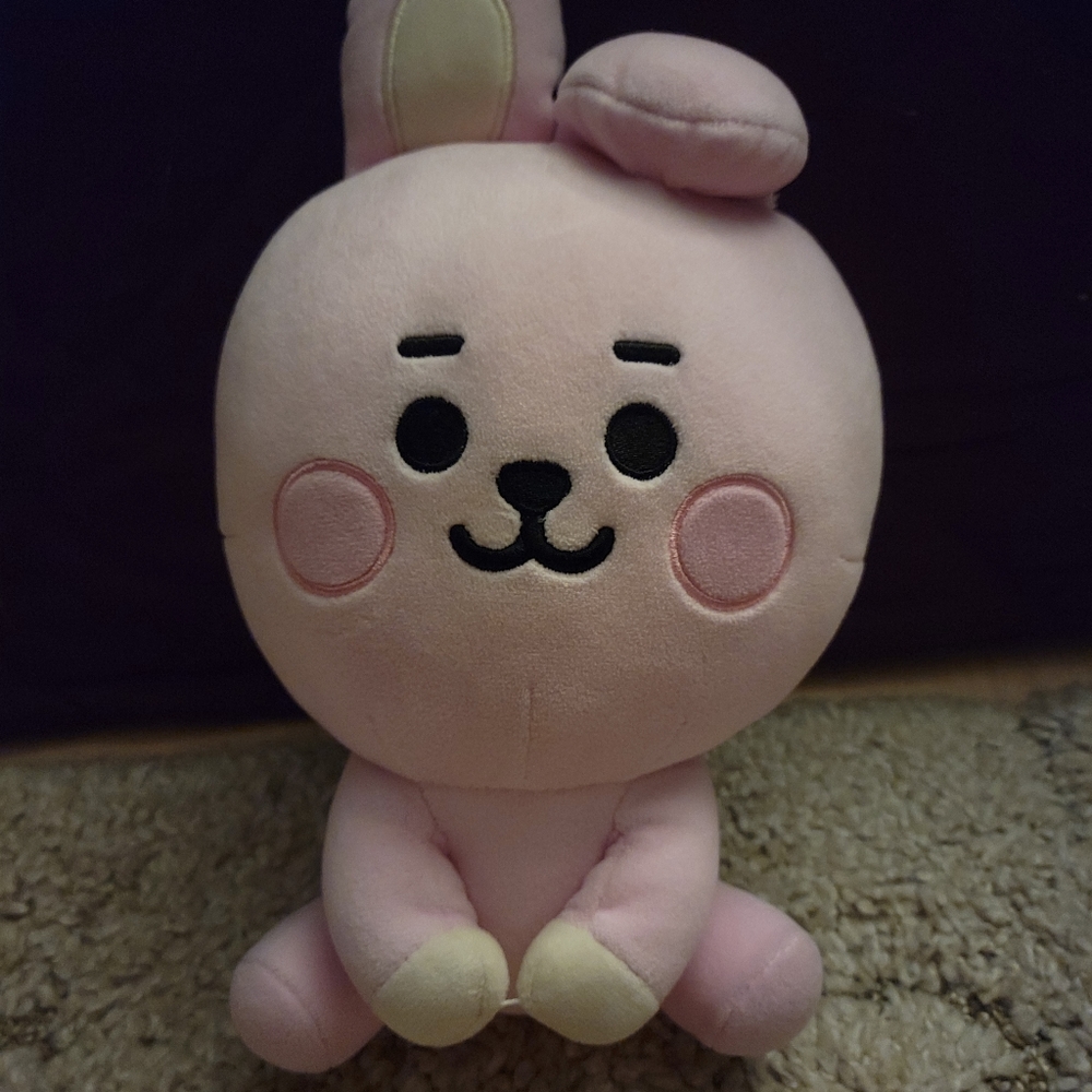 BT21 Jungkook Cooky BTS stuffed plush doll